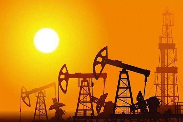 Oil